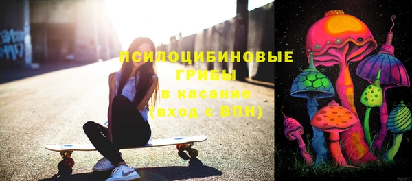 винт Ладушкин