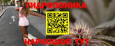 хмурый Можга
