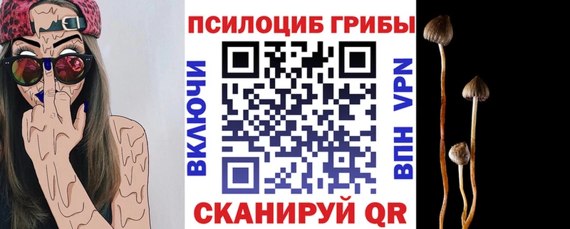 Галлюциногенные грибы Cubensis  Строитель 
