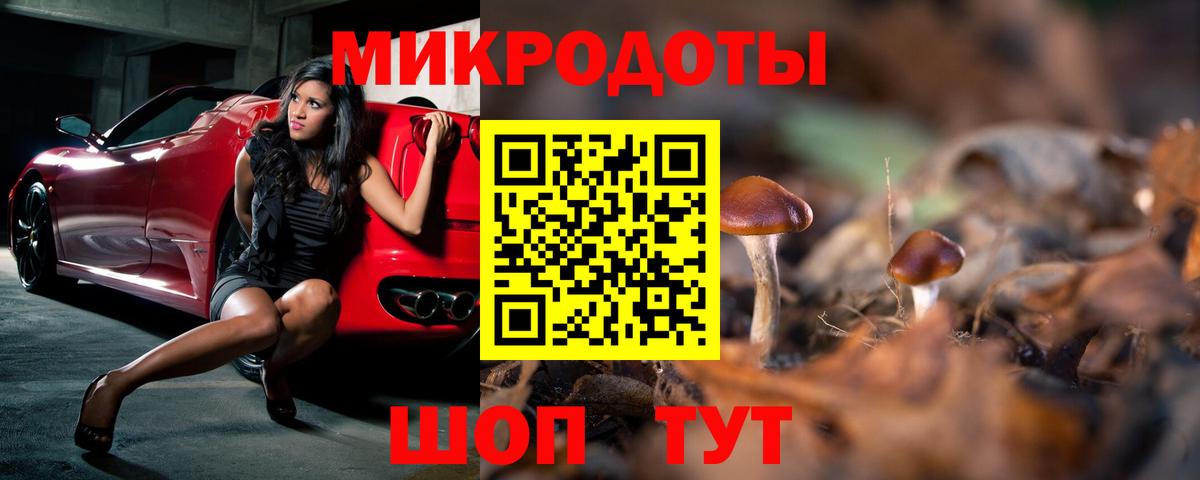 Псилоцибиновые грибы GOLDEN TEACHER  Вход с VPN  Строитель  Псилоцибиновые грибы GOLDEN TEACHER 